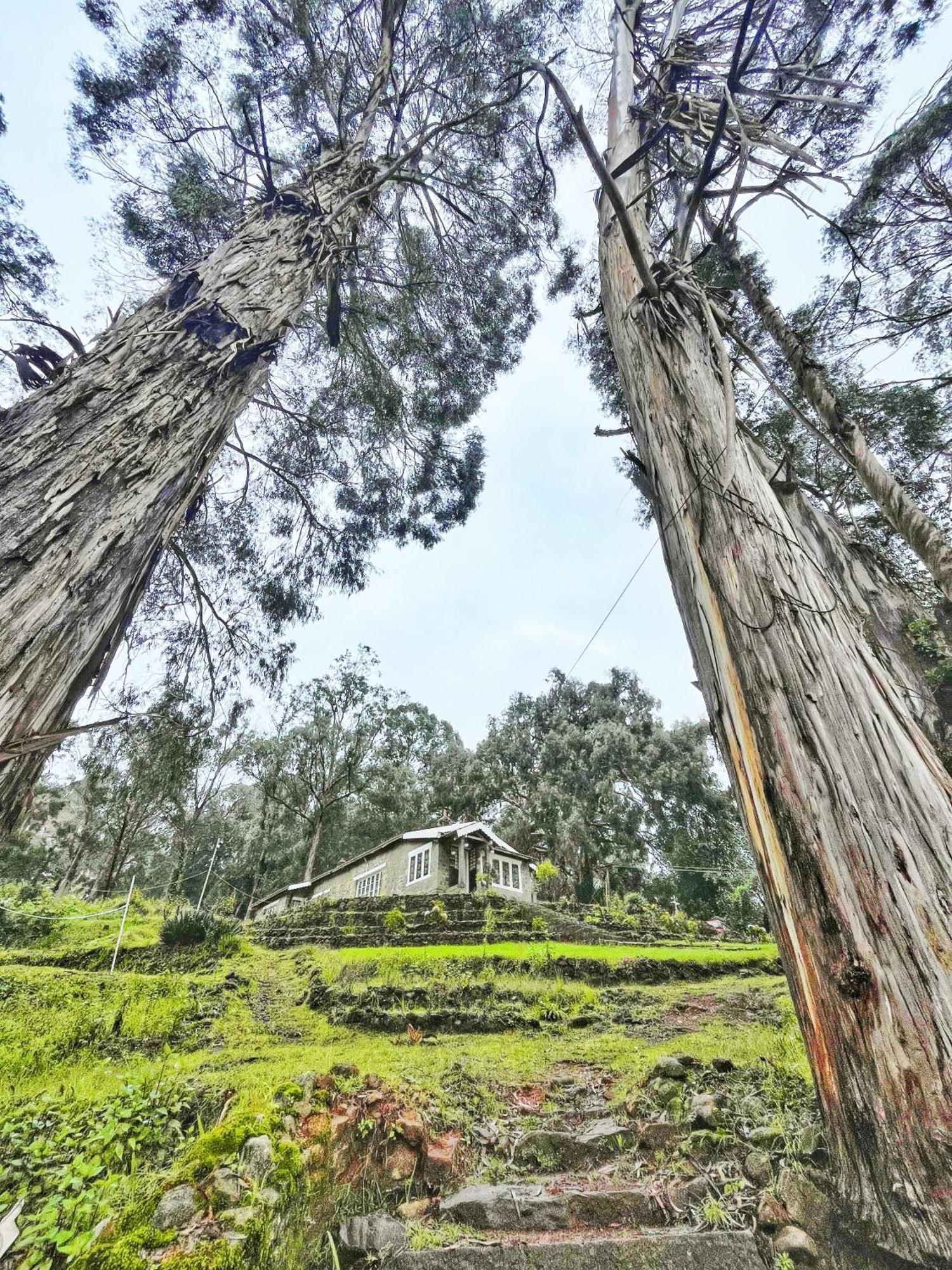 Springdale Villa Kodaikanal Exteriör bild