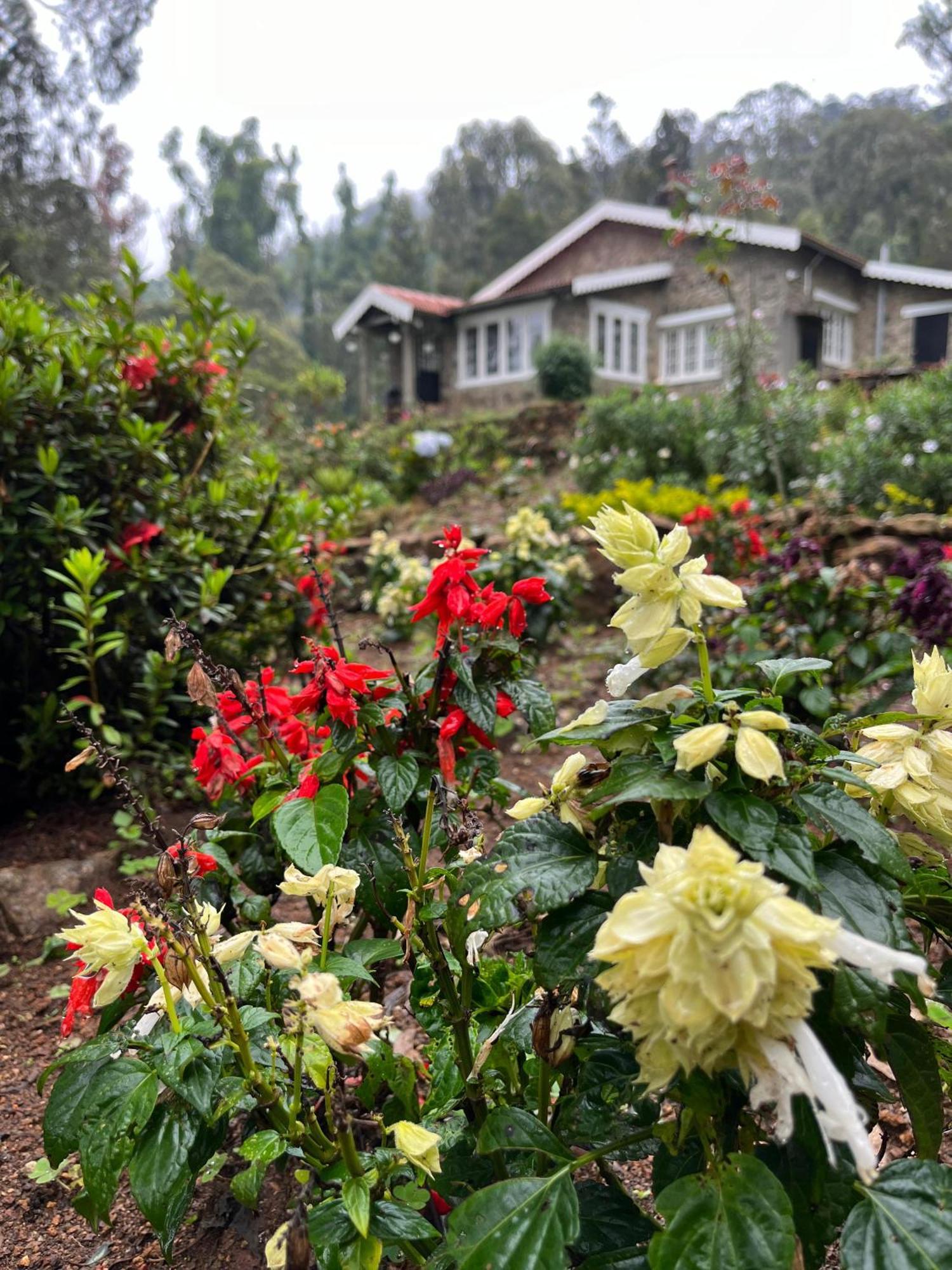 Springdale Villa Kodaikanal Exteriör bild