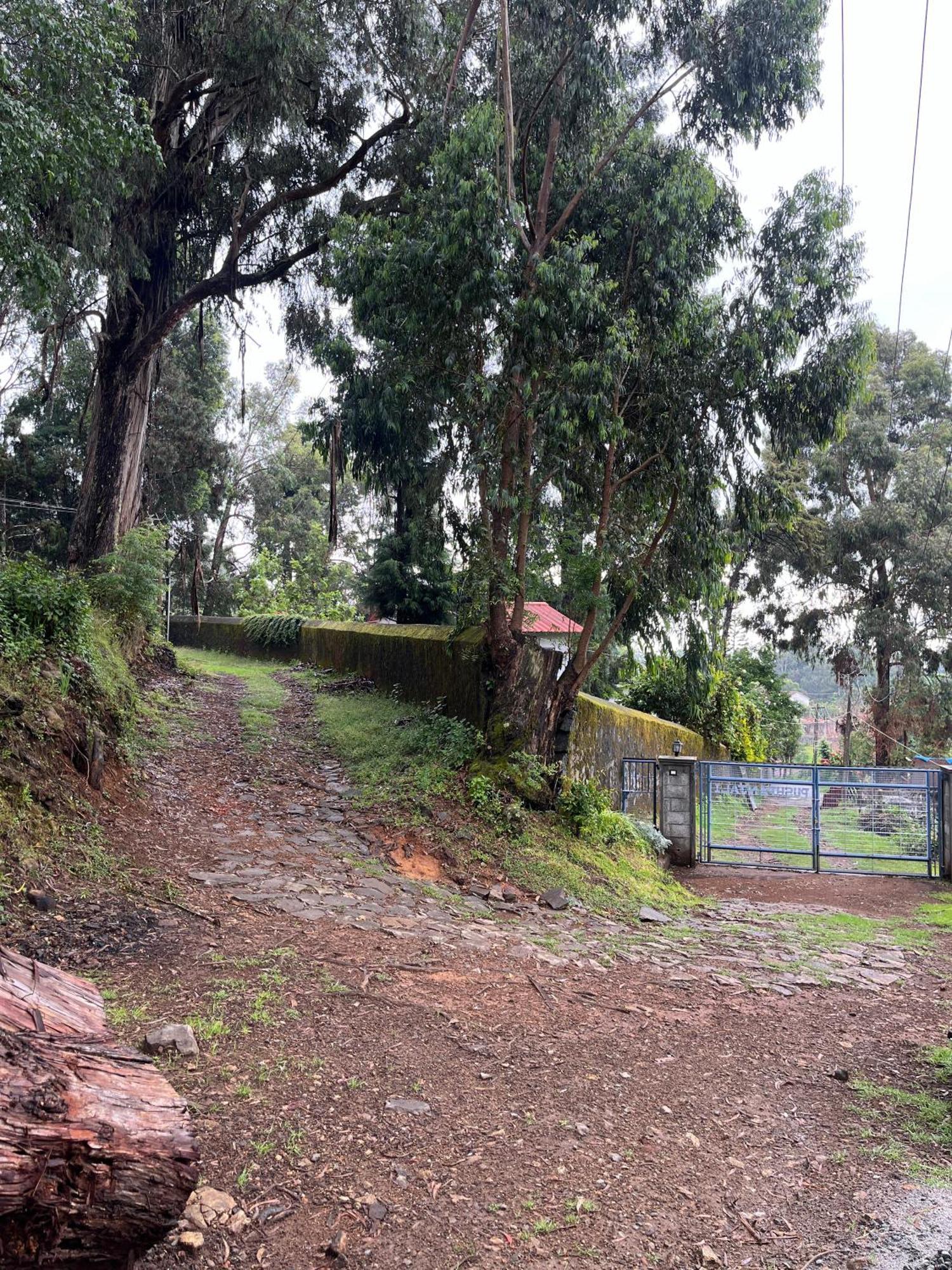 Springdale Villa Kodaikanal Exteriör bild