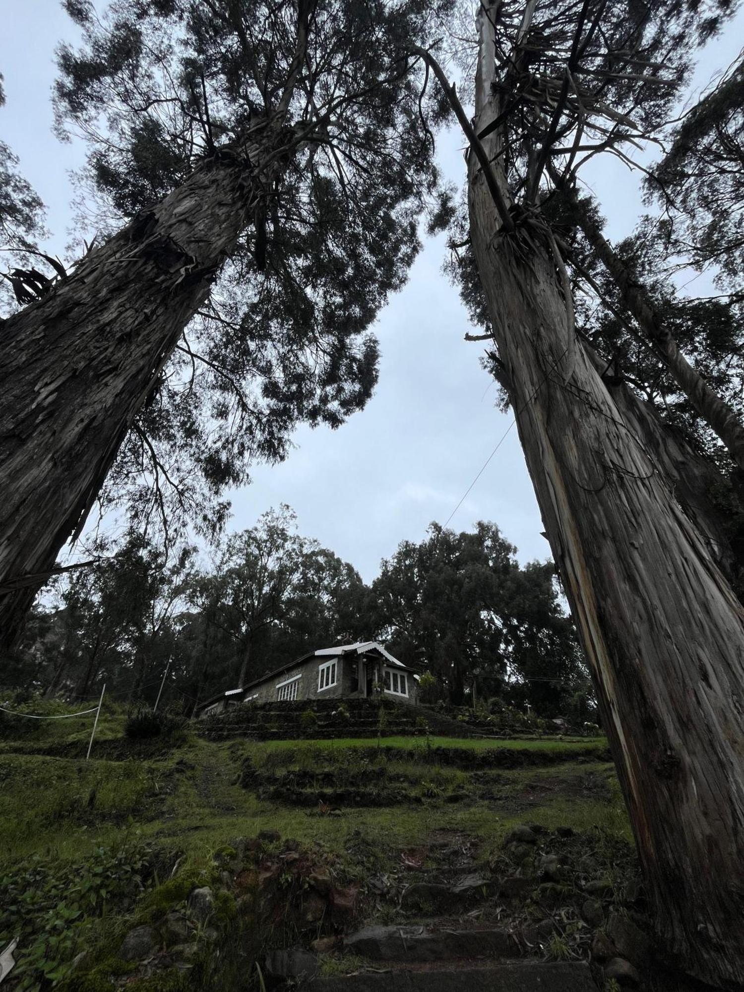Springdale Villa Kodaikanal Exteriör bild
